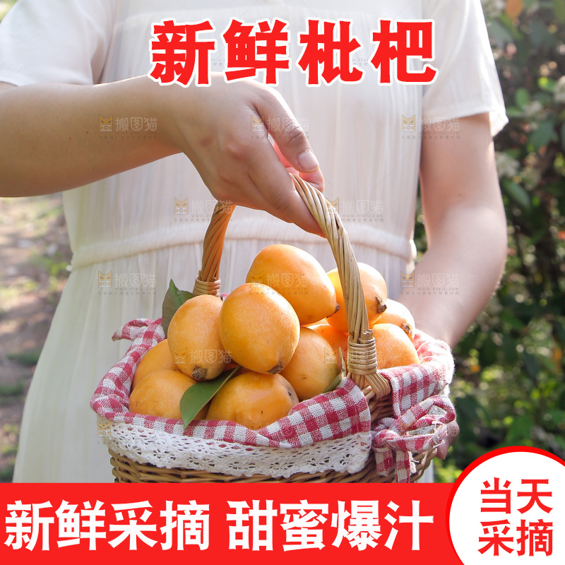 手提着一篮米易枇杷