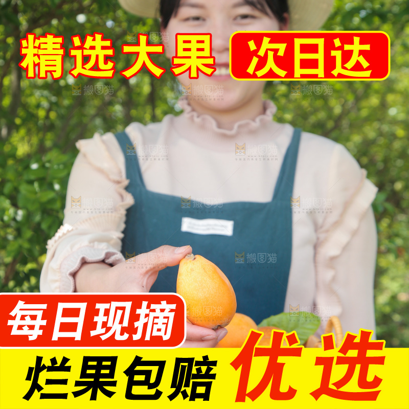女孩手里端着一篮新鲜枇杷