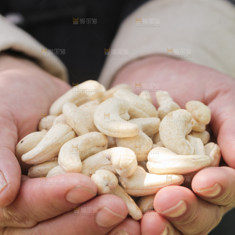 手里捧着白腰果仁