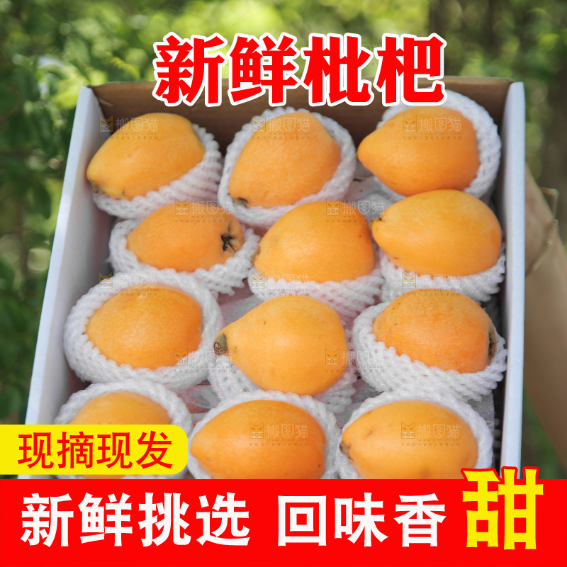手里端着一箱五星枇杷