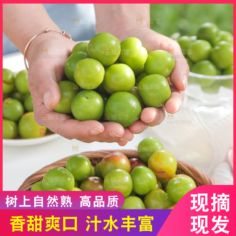 手里捧着三月李