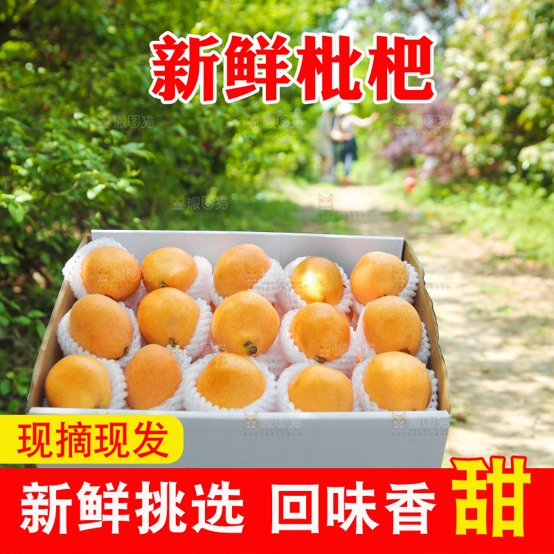 一箱云南大五星枇杷