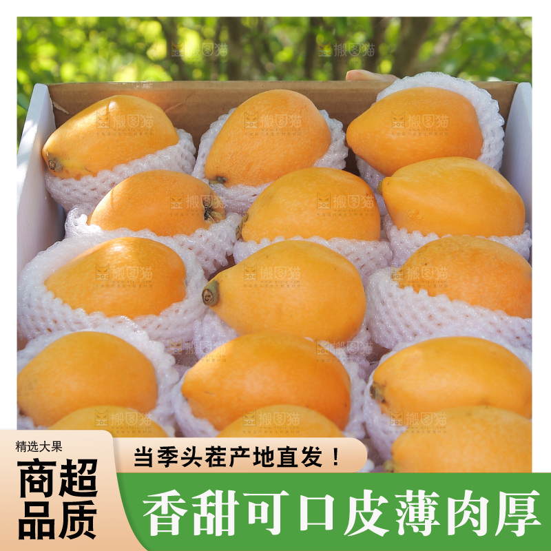 手里端着一箱五星枇杷