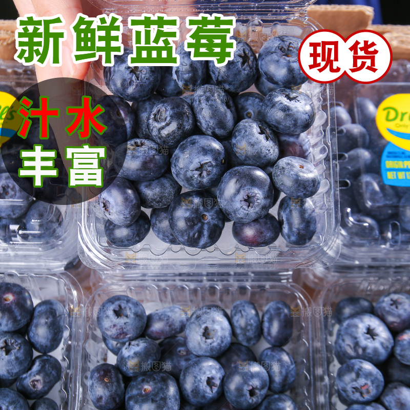 黑底上摆着的新鲜蓝莓