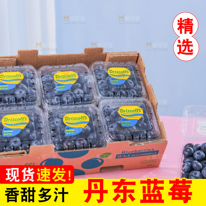 浅底上的新鲜蓝莓