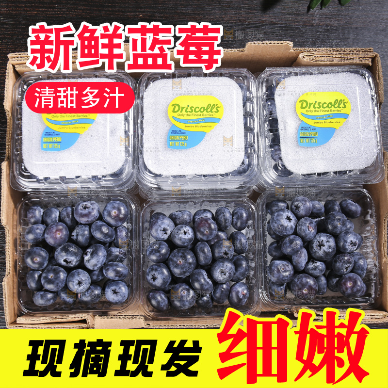黑底上摆着的新鲜蓝莓