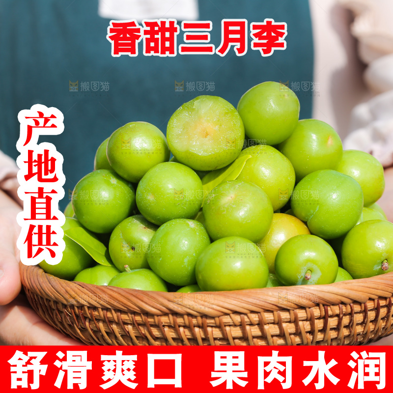 手里端着一篮三月李