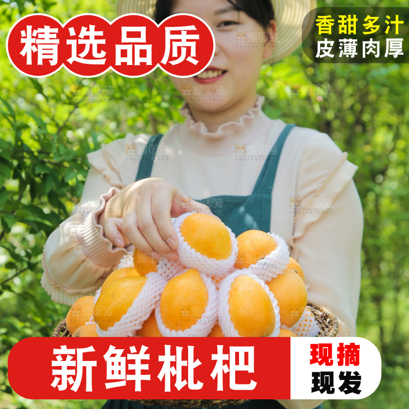 手里拿着新鲜大枇杷