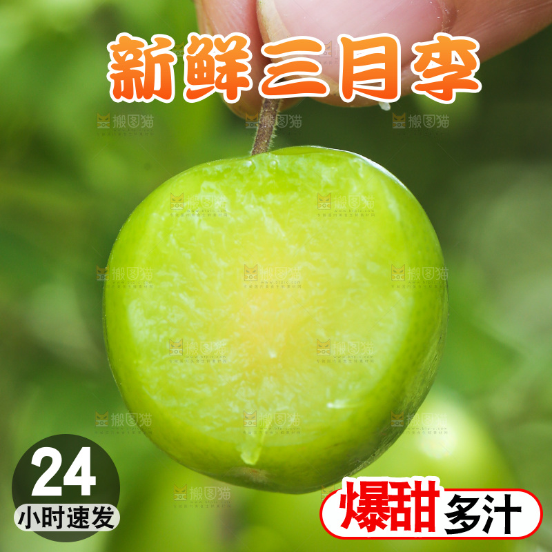 手里拿着青脆李