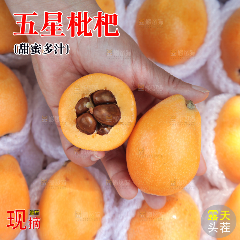 五星枇杷纹理