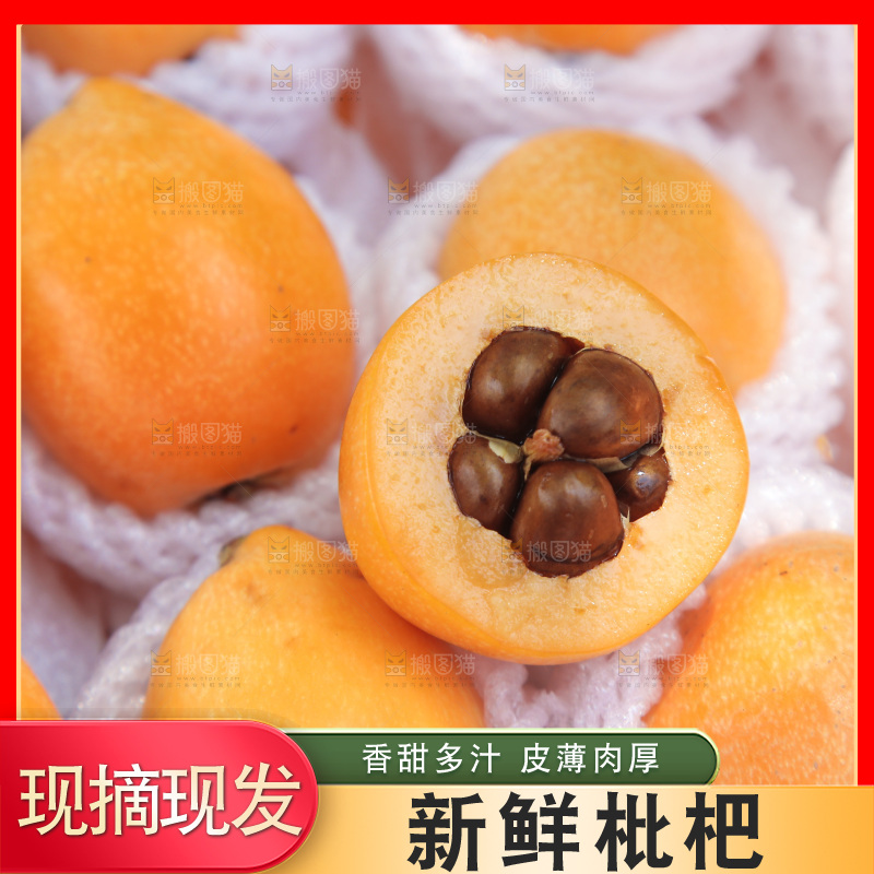 五星枇杷纹理