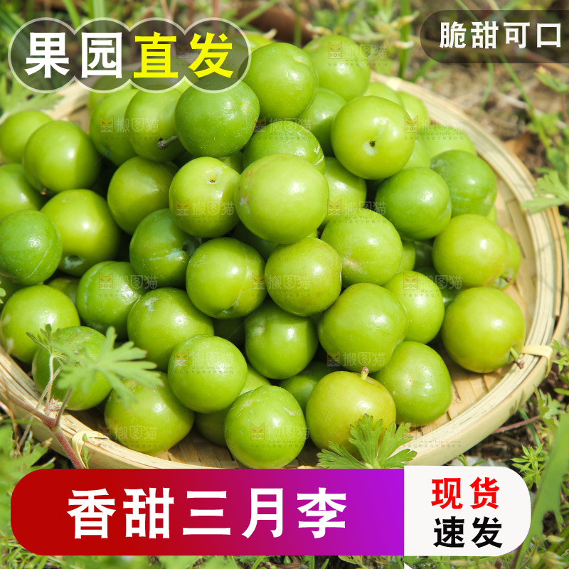草地上放着一篮三月李