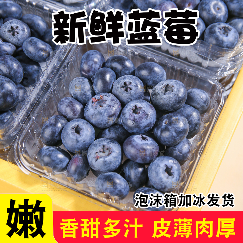 浅底上的新鲜蓝莓