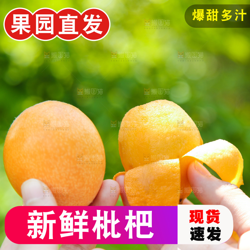 手里拿着大枇杷