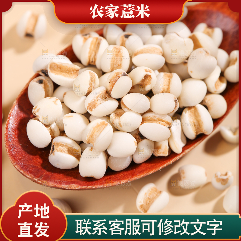 浅底上的薏米仁