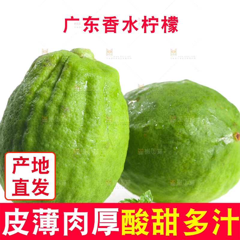 白底上的广东香水柠檬