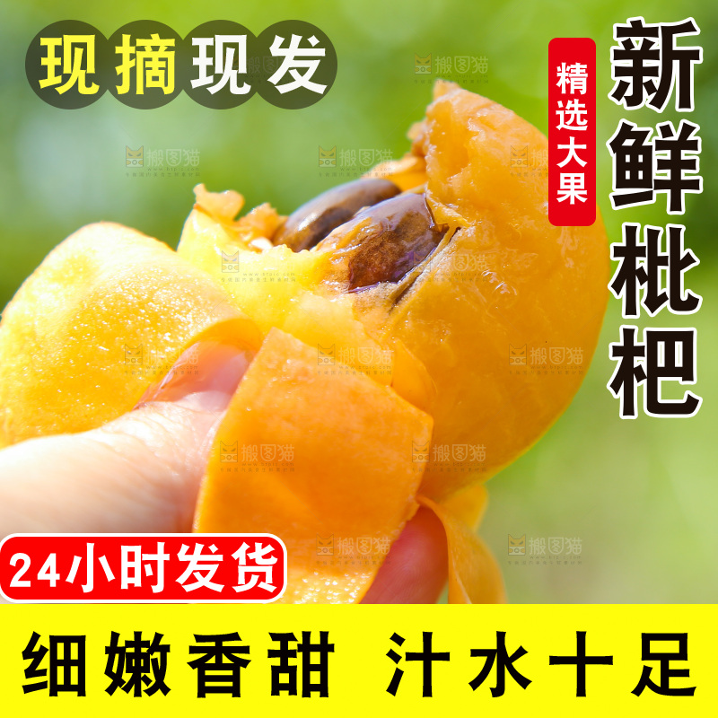 手里拿着五星枇杷