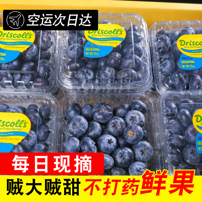 浅底上的新鲜蓝莓