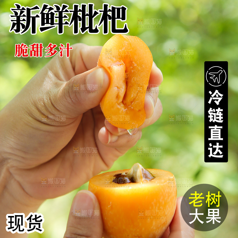 手里爆汁的枇杷