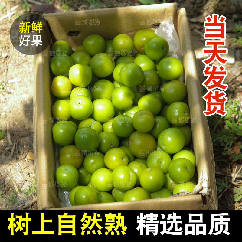 地上放着一箱三月李