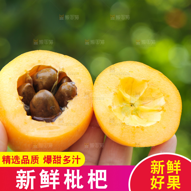 手里拿着切开的五星枇杷