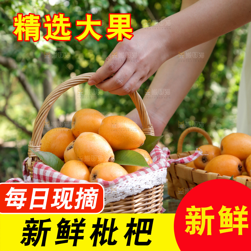 手提着一篮米易枇杷