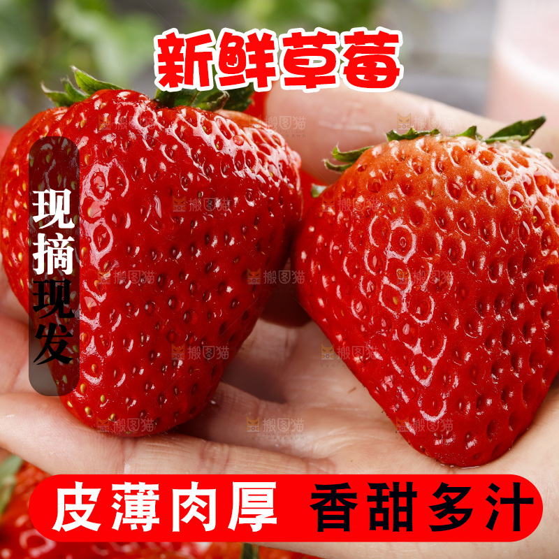 深底上的丹东草莓