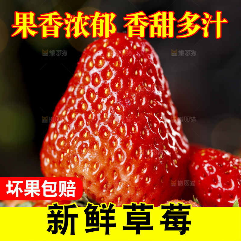 深底上的丹东草莓