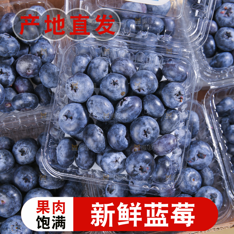 浅底上的新鲜蓝莓