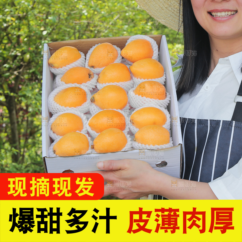 女孩手里端着一箱米易枇杷