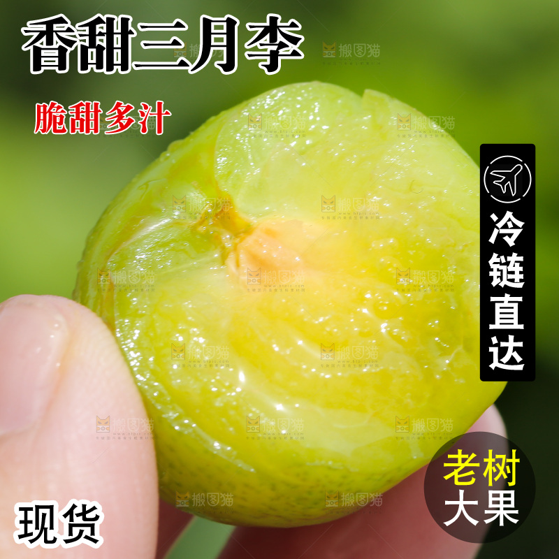 手里拿着咬过的三月李