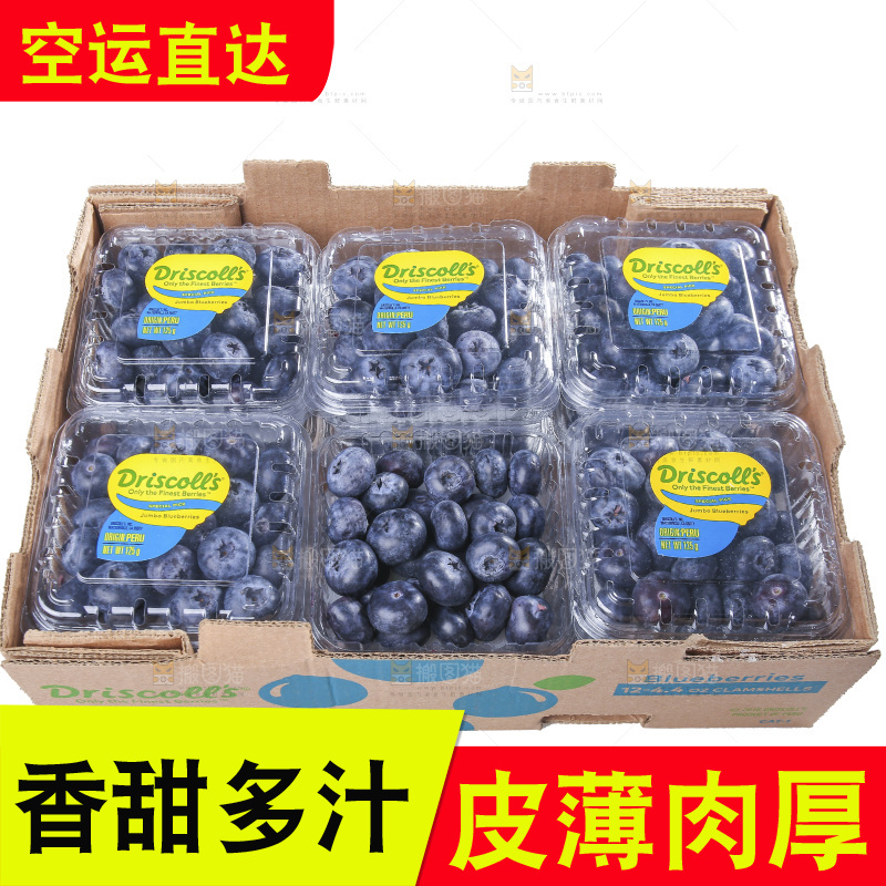 白底上放着的新鲜蓝莓