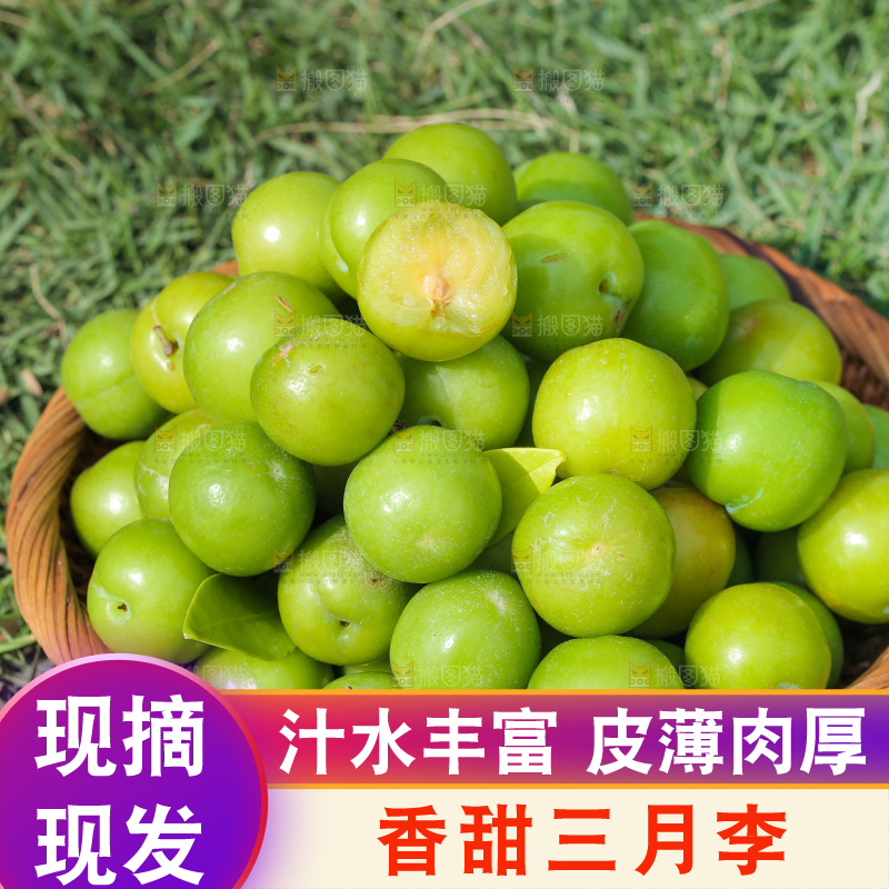 草地上放着一篮新鲜三月李