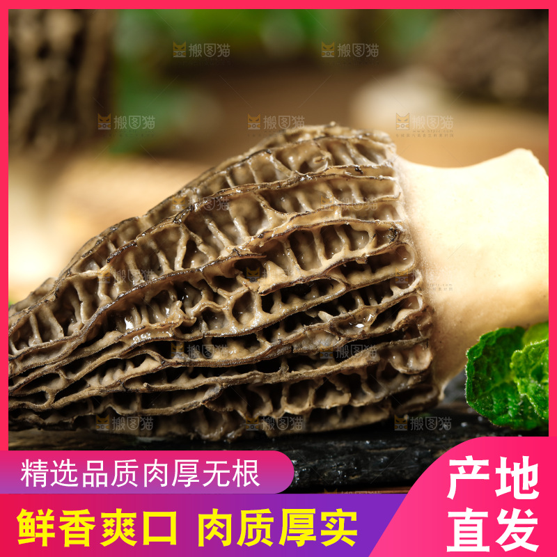 木底上的羊肚菇
