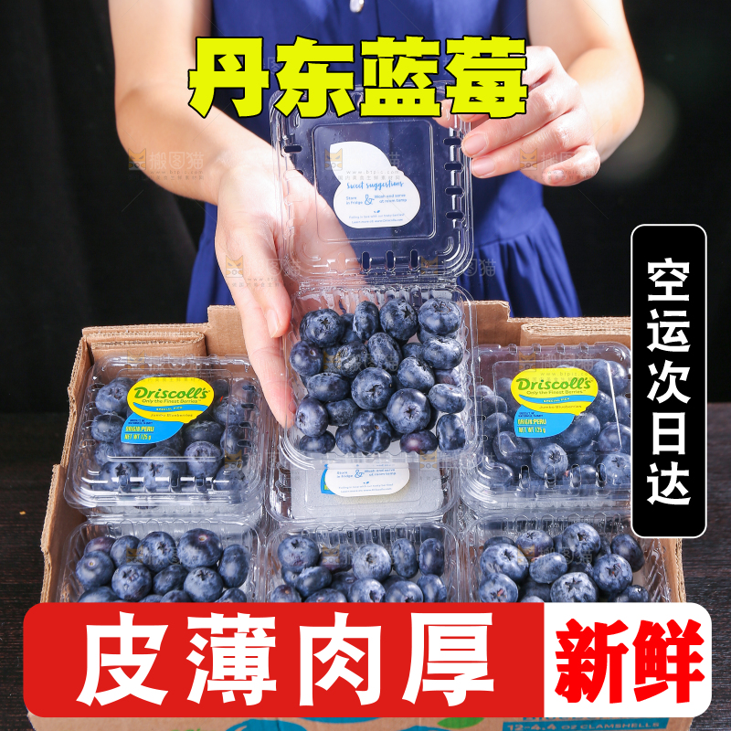 黑底上摆着的新鲜蓝莓