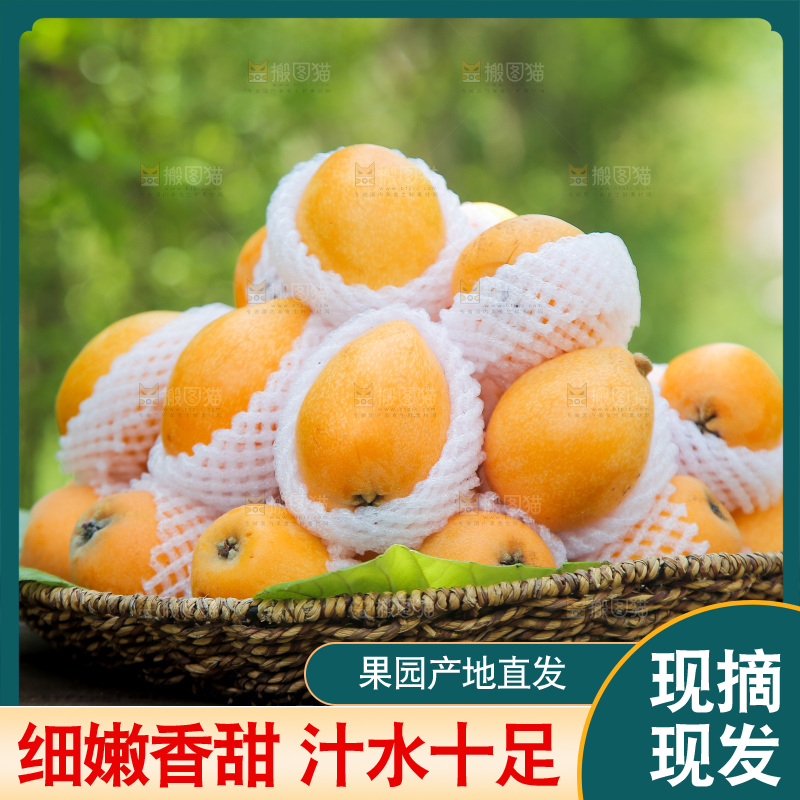 木底上放着一篮米易枇杷