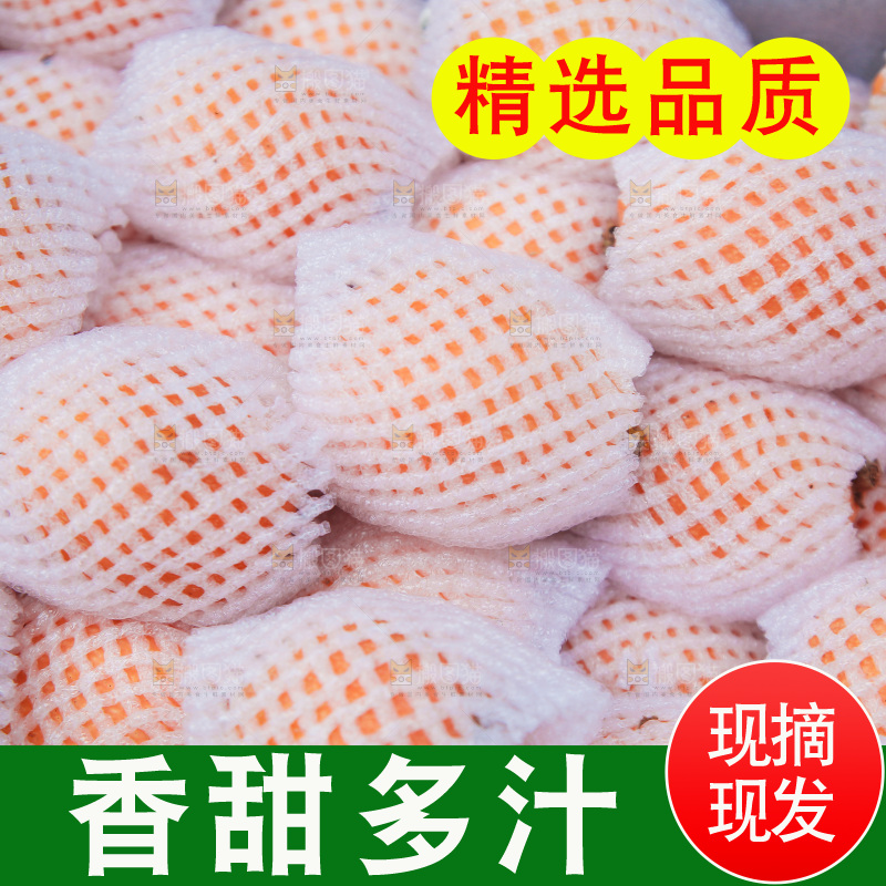 五星枇杷纹理