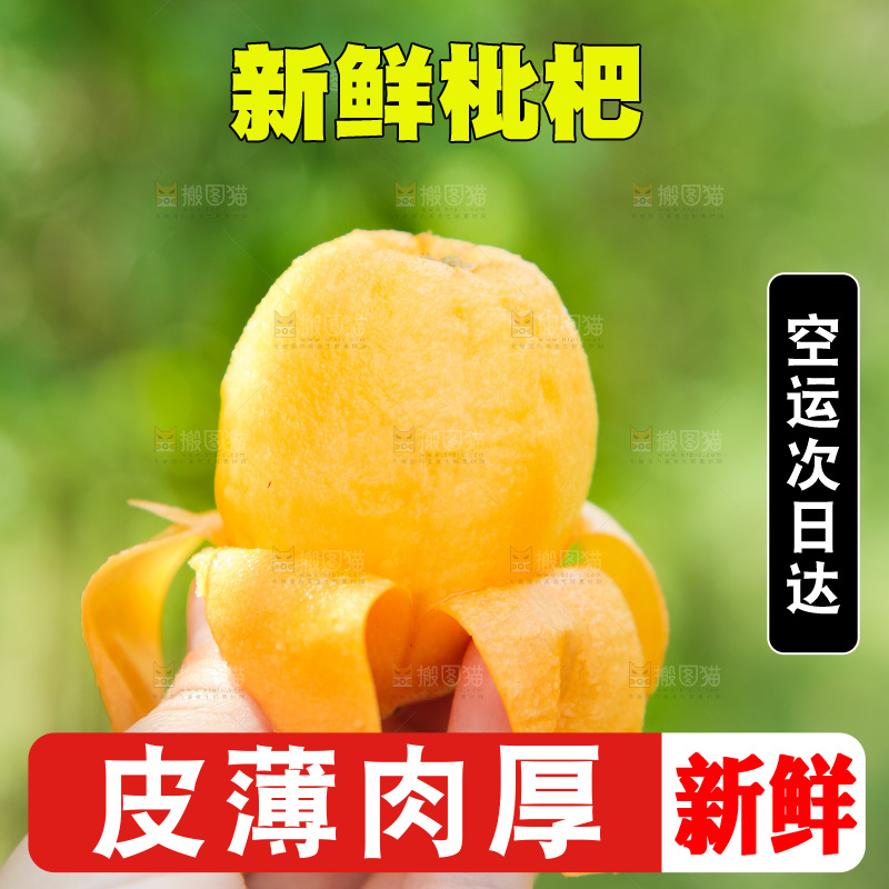 手里拿着大枇杷