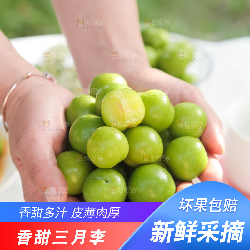 手里捧着酸脆李