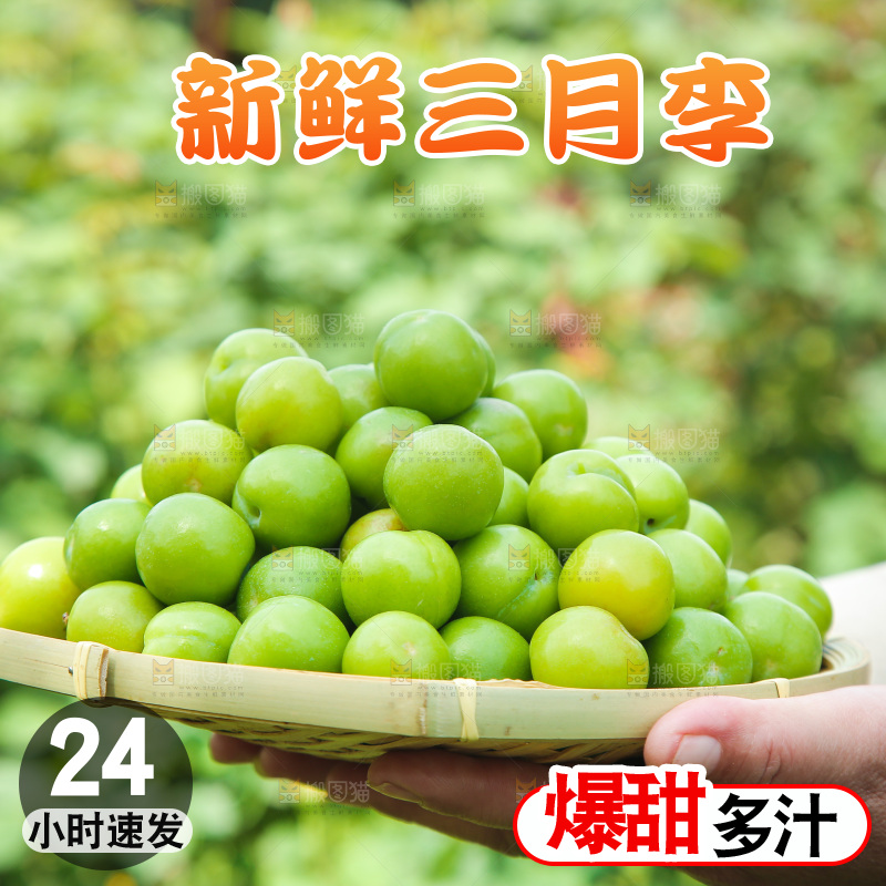 手里端着一篮三月李