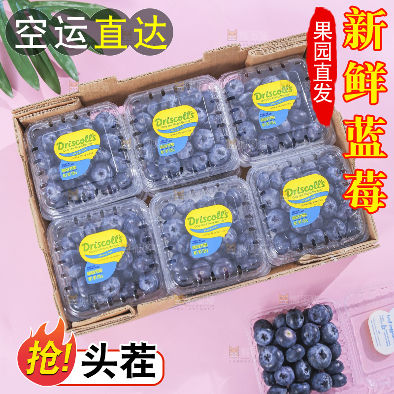 浅底上的新鲜蓝莓