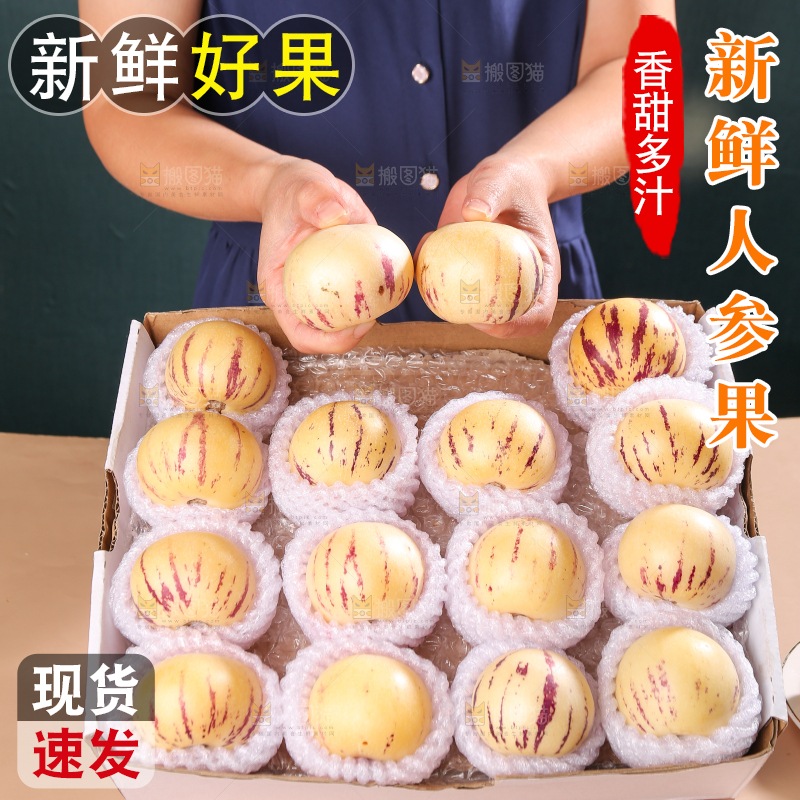 礼品盒里的人参果