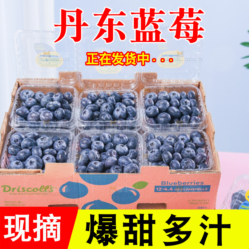 浅底上的新鲜蓝莓