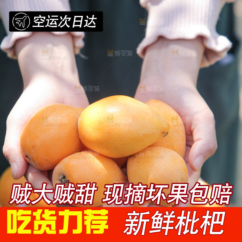 手里捧着大枇杷