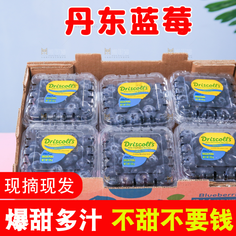 浅底上的新鲜蓝莓