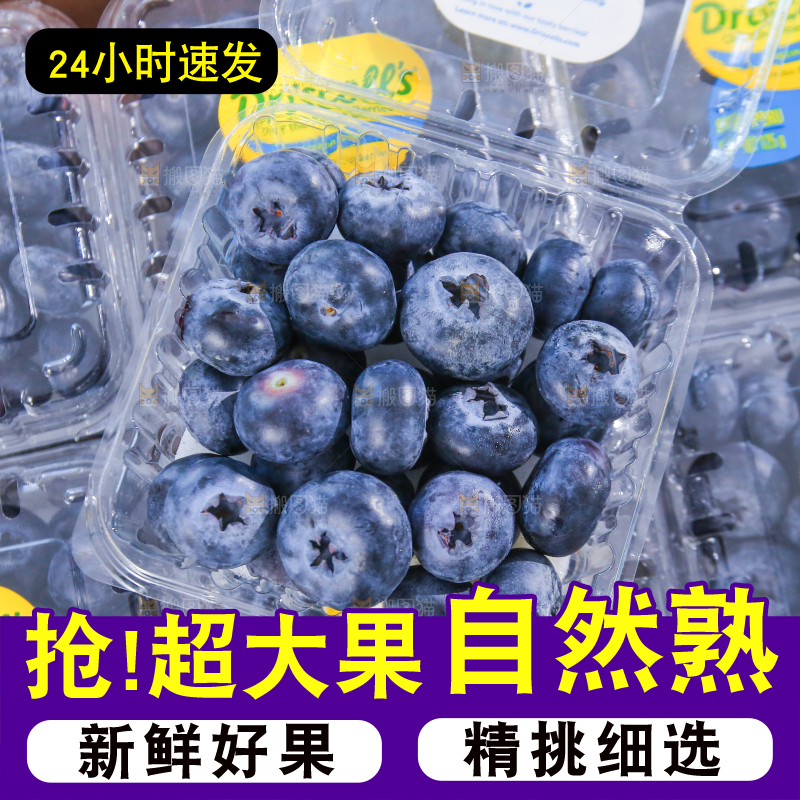 浅底上的新鲜蓝莓
