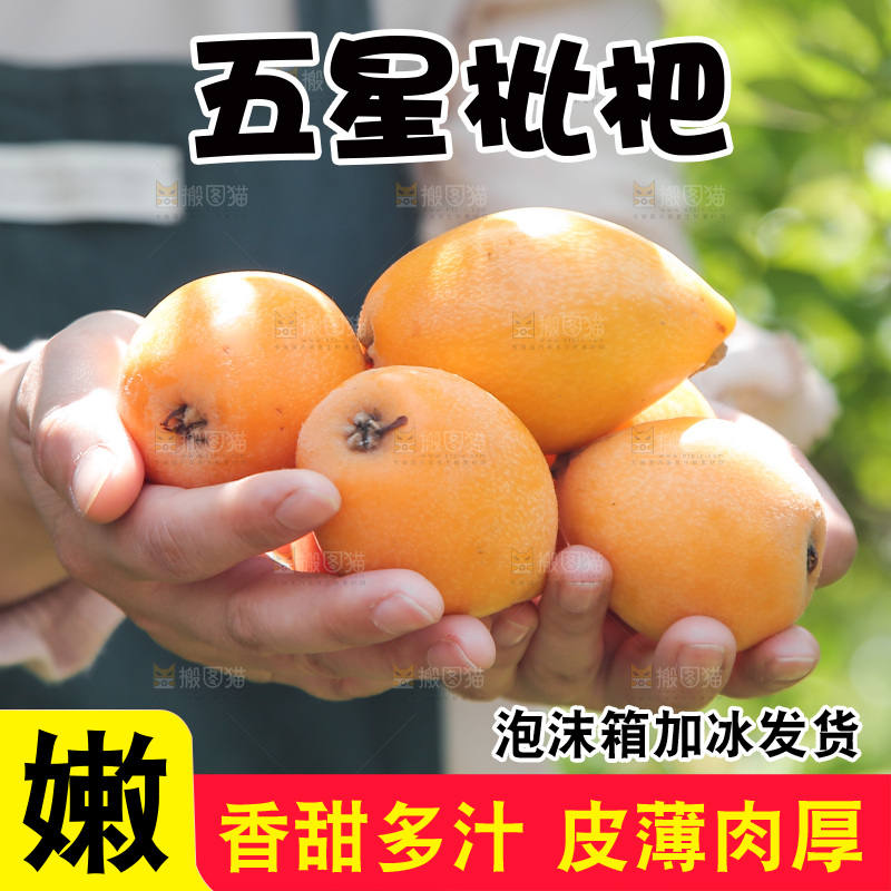 手里捧着大枇杷