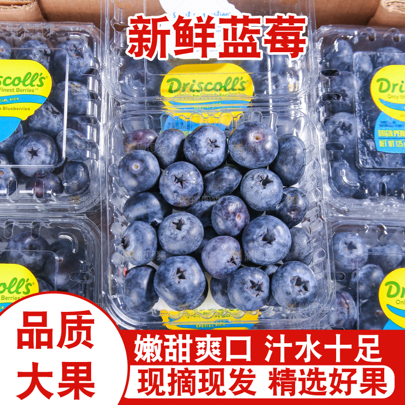 黑底上摆着的新鲜蓝莓