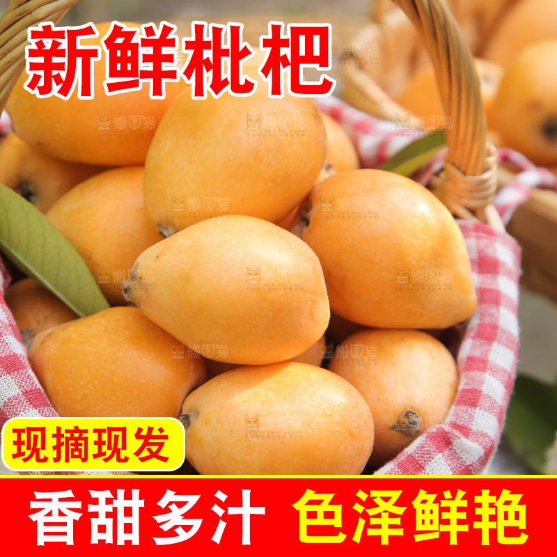 一篮大枇杷