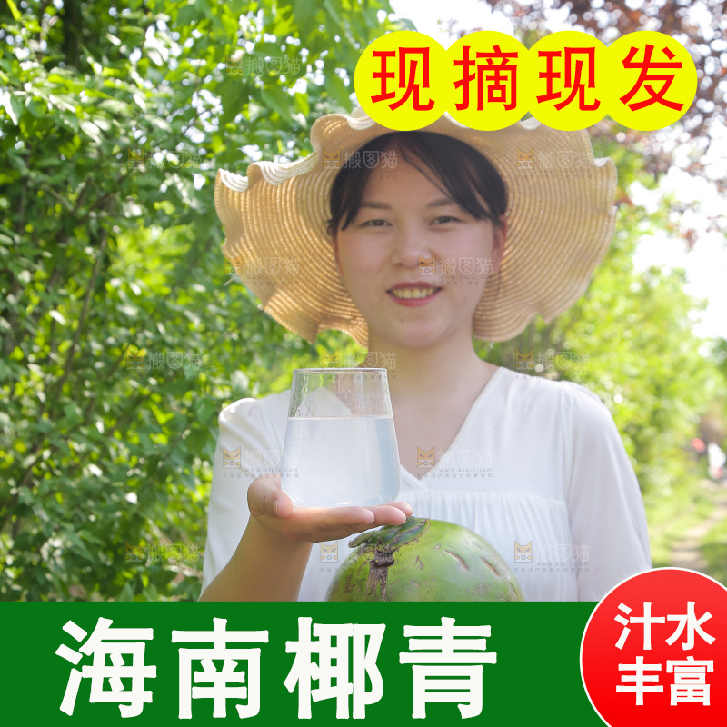女孩手里拿着椰子汁